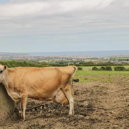 The Goat Shed Prázdninový dům Hawsker