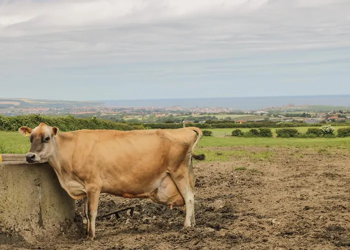The Goat Shed Сasa de vacaciones Hawsker